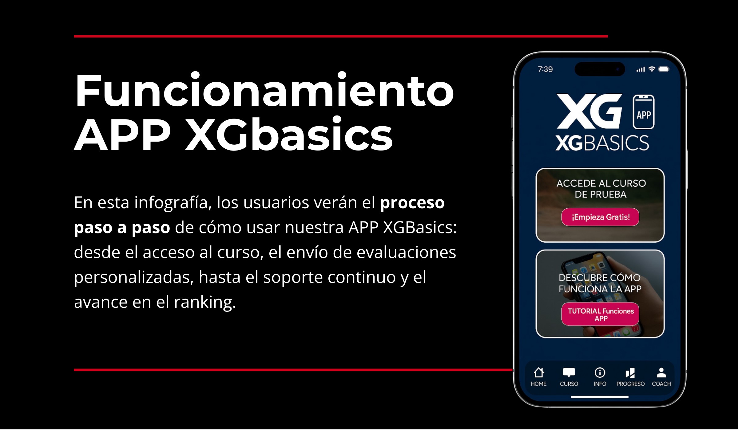 Logo XGBasics - Academia de conducción de motos